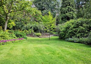 Optimiser l'expérience du jardin à Quettreville-sur-Sienne